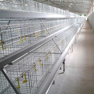 Moins de couleur argentée de travail/économie de l'espace de cage de poulet à rôtir de maladies respiratoires