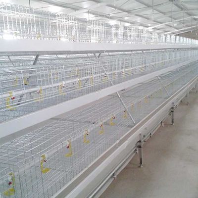 Cage de cage de poulet à rôtir d'alimentation automatique, cage adaptée aux besoins du client d'alimentation d'oiseau de conception