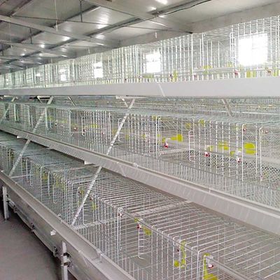 Résistant à hautes températures de cage blanche argentée de poulet à rôtir avec le système de l'alimentation/EC