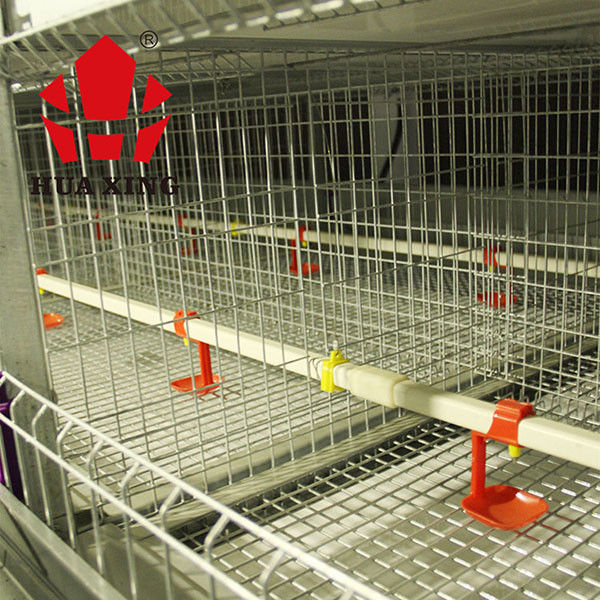 Cage automatique de poulet à rôtir pour les biens animaux de bétail d'agriculture de volaille