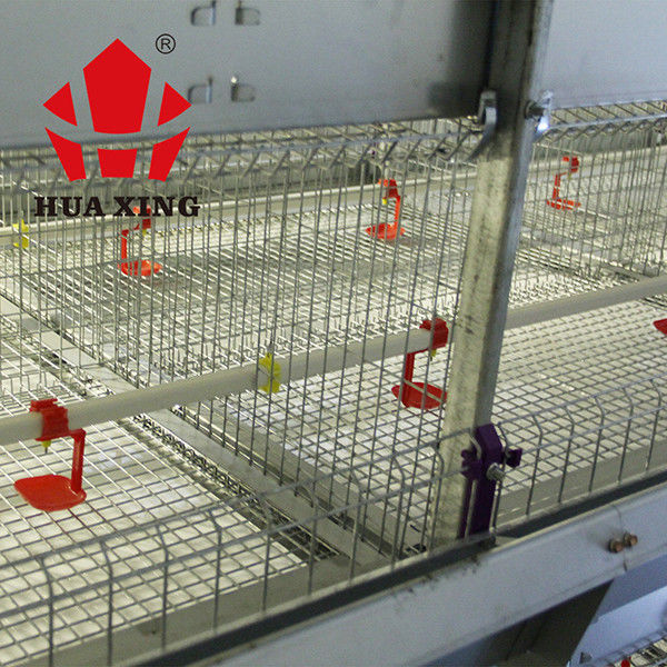 Cage automatique de poulet à rôtir pour les biens animaux de bétail d'agriculture de volaille