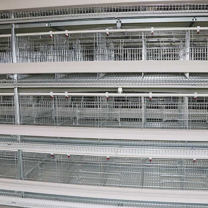 Couche de câble par participation d'oeufs cultivant la cage, cages conçues scientifiques de poule de couche