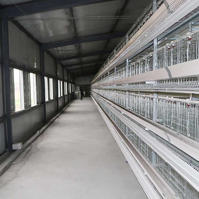 Couche de câble par participation d'oeufs cultivant la cage, cages conçues scientifiques de poule de couche