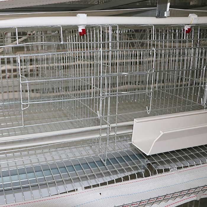 3 / cage de ferme avicole de couche de 4/5 rangées, cages faites sur commande de poule de batterie de puissance