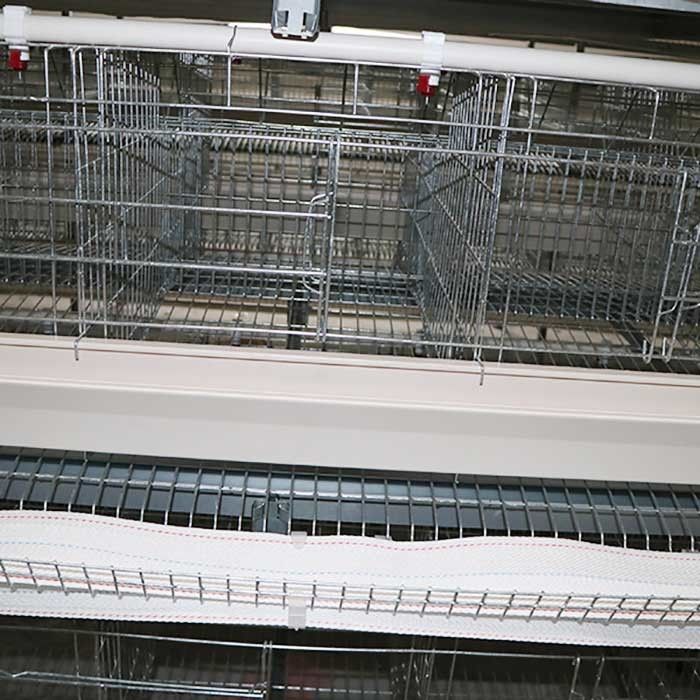 Biens un type approbation du contrôle automatique IS9001 de système de cage de poulet de couche