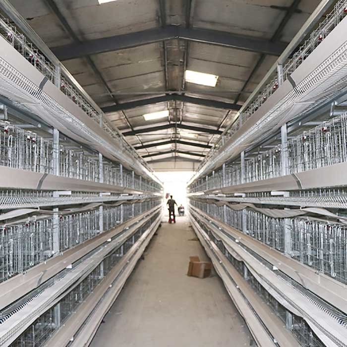 3 / cage de ferme avicole de couche de 4/5 rangées, cages faites sur commande de poule de batterie de puissance
