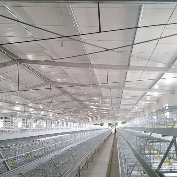 Cage vieillissante de ferme avicole de résistance, système de cage de batterie de trois rangées pour des poulets à rôtir