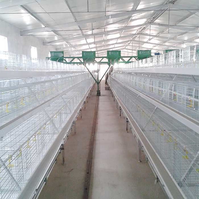 Le système plongé chaud de cage de poulet à rôtir, volaille en acier de Q235 Technologie de pointe mettent en cage