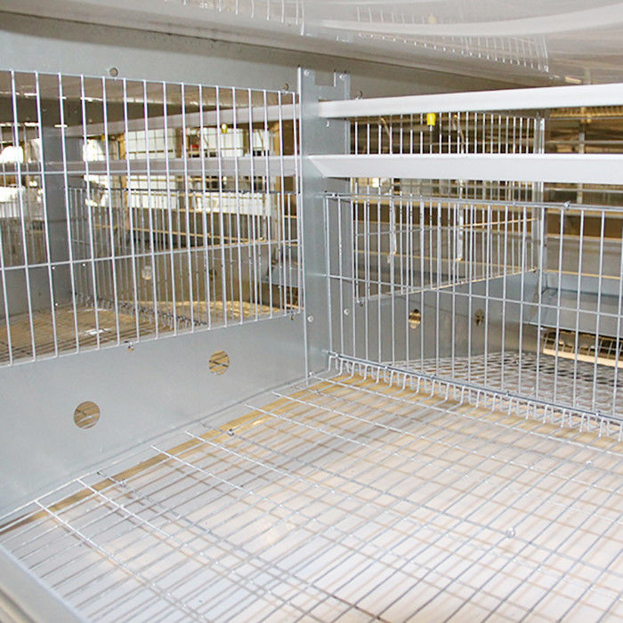 Cage de poulet de volaille de haute performance 4/5/6/8 taille des rangées 120 * 60 * 70 cm