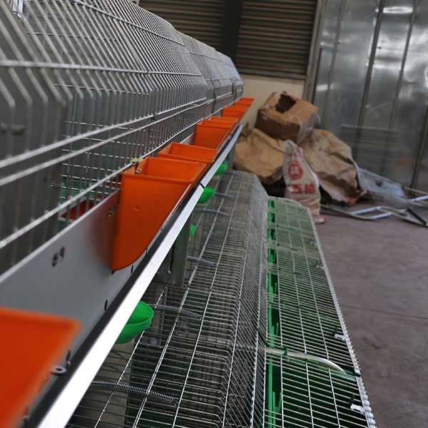 Entretien facile de grande de nettoyage de ferme de lapin représentation stable automatique de cage