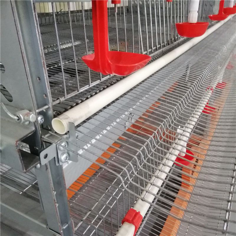 Cage moderne de cailles de ferme de large échelle d'équipements d'agriculture de économiser de travail