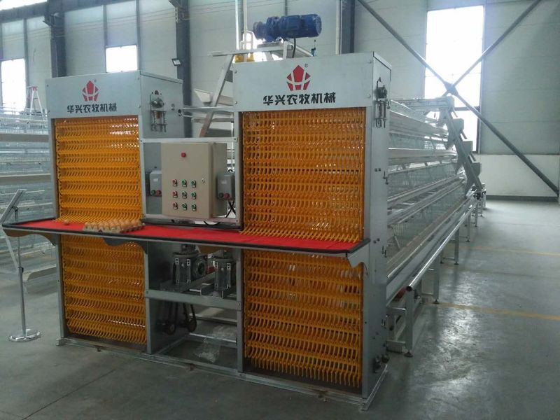 Henan Huaxing Poultry Equipments Co.,Ltd. ligne de production en usine