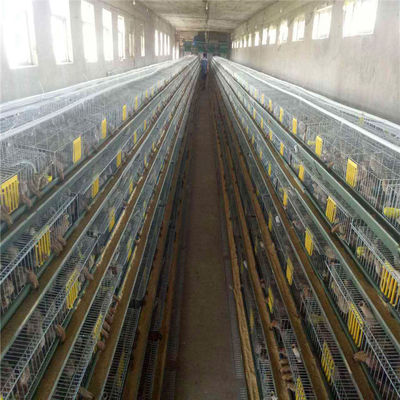 Les cailles de rangées du fil d'acier Q235 5 mettent en cage 15-20 ans de garantie