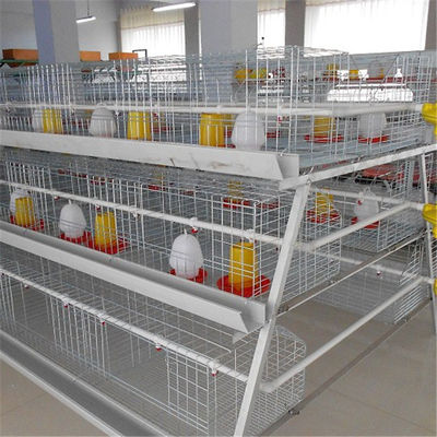 Système de alimentation de 3 rangées HDG Chick Brooder Cage With Manual