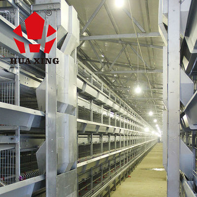Conducteur automatique de l'eau de structure rationnelle pour les poulets/conducteur automatique de volaille pour le grilleur