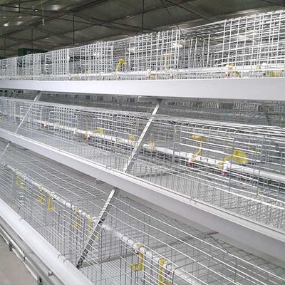 Cage animale automatique de 3 rangées, système de cage de grilleur de 96 - 120 oiseaux pour la ferme
