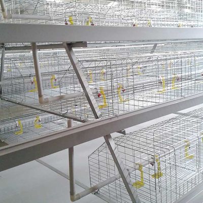 En cultivant le poulet à rôtir mettez en cage un type 3 contrôle automatique de rangées facile à installer