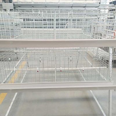 Cage stable de poulet à rôtir de représentation facile de nettoyer 20 - 25 ans de garantie