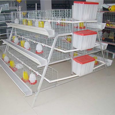 Un type 198 oiseaux posent l'équipement d'aviculture de cage de poulet