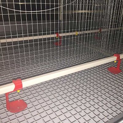 Cage de alimentation manuelle de poulet de volaille de système pour le poussin de bébé 20 ans de durée