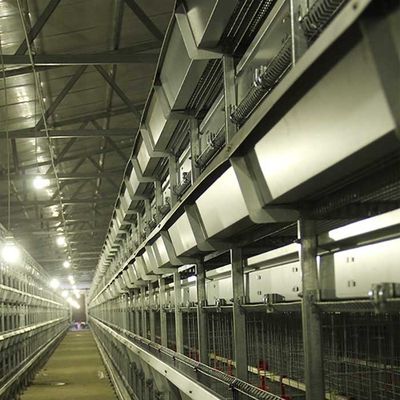 Acier galvanisé une cage pour la volaille, cage automatique de poulet de couche d'échelle