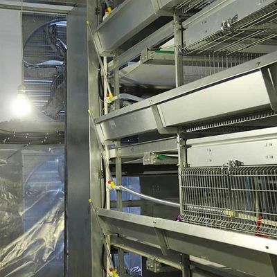 Terre de la maladie de cage de poussin de bébé de puissance de batterie basse faisant gagner 1,5 ans de garantie