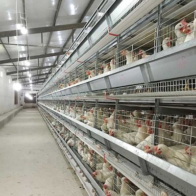 économie de travail de contrôle automatique de cage de poulet de volaille de 120 * de 60 * 70cm écologique