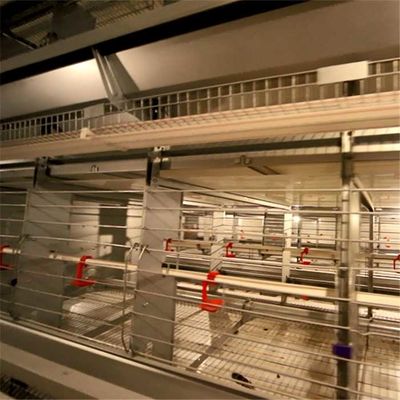 L'élevage ignifuge de fil met en cage le nettoyage facile 129 poulets femelles/capacité masculine de poulets
