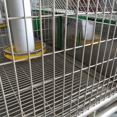 Chaud plongé galvanisé 24 cages de lapin de ferme de cellules avec le système automatique de nettoyage