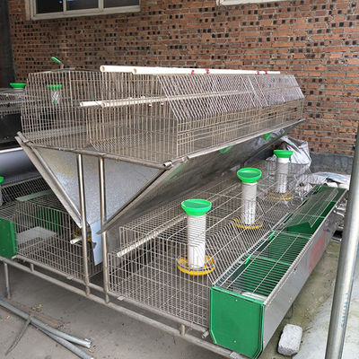 Lapin commercial de cage de lapin de garderie de 50~80 enfants multipliant des cages