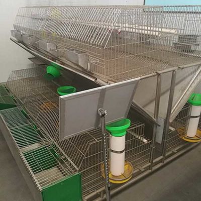 Boire facile extérieur galvanisé anti par corrosion de cage de lapin de ferme de haute performance