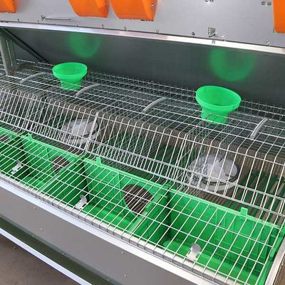 Fil d'acier futé confortable de la cage Q235 de lapin de ferme/matière plastique