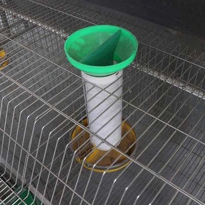 Entretien facile de grande de nettoyage de ferme de lapin représentation stable automatique de cage