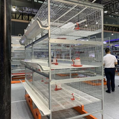Cage de poulet de volaille d'oiseaux des portes 264 du laboratoire 24