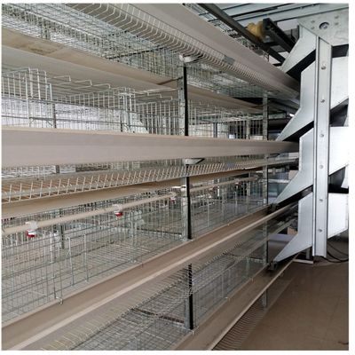 H dactylographient à 128 oiseaux l'équipement d'aviculture de cage de batterie de 4 couches