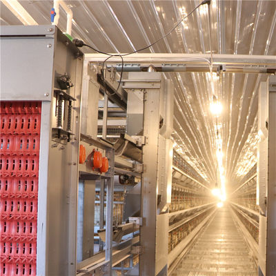 Cage moderne de poulet de couche de batterie de 128 oiseaux pour la ferme du Pakistan