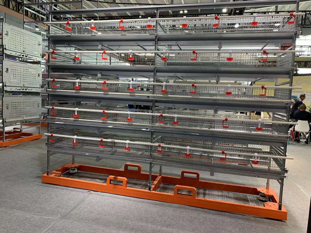 Cage automatique de cailles d'oeufs pour la capacité de cage à 6 niveaux 200000 cailles par ferme