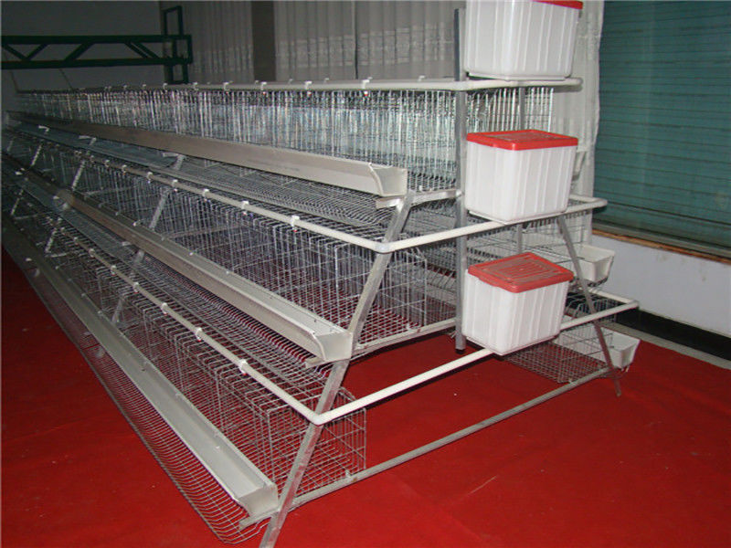 Le poulet cultivant 3 rangées par couche de cadre met en cage le système automatique d'engrais