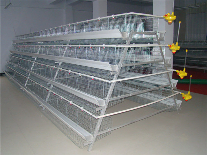 96-160 oiseaux un type efficacité de élevage élevée complètement automatique de cage de volaille