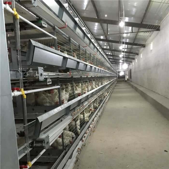 Cage animale galvanisée plongée chaude de batterie automatique de cadre de H/cage couche de poulet/cage de batterie couche de poulet à vendre
