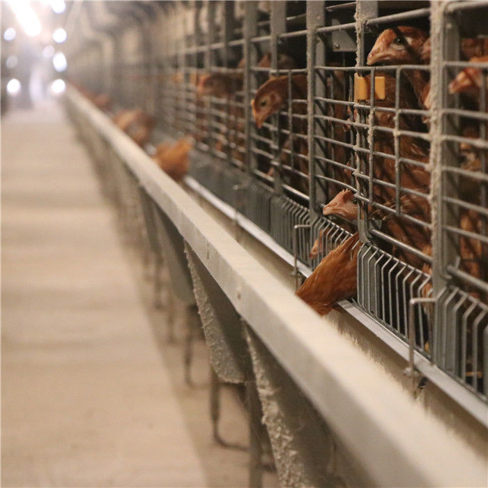 Cage animale galvanisée plongée chaude de batterie automatique de cadre de H/cage couche de poulet/cage de batterie couche de poulet à vendre