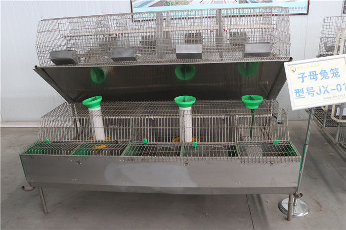 Système commercial de Mesh Rabbit Cage Automatic Control de fil de position de la volaille 24