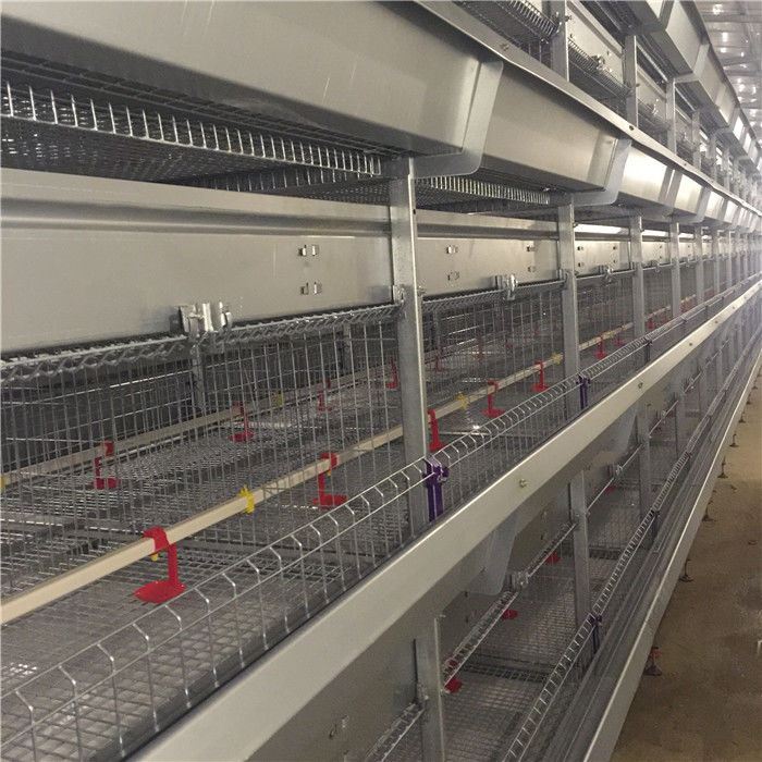 Type conception de 4 rangées H de couvée d'oiseaux de Chick Cage 192 de bébé