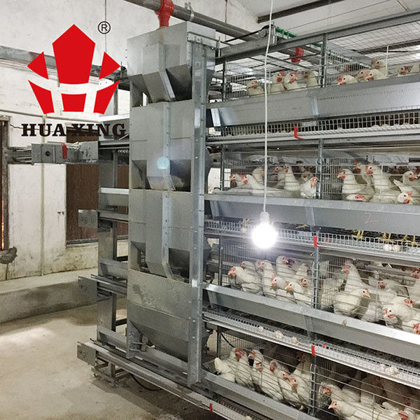 Conducteur automatique de l'eau de structure rationnelle pour les poulets/conducteur automatique de volaille pour le grilleur