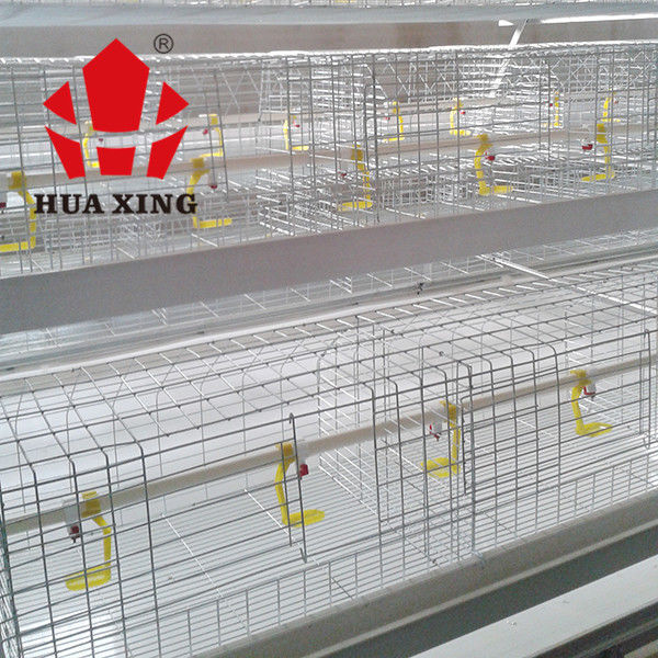 Facile matériel plongé chaud de grillage de volaille de cage commerciale de poulet à installer