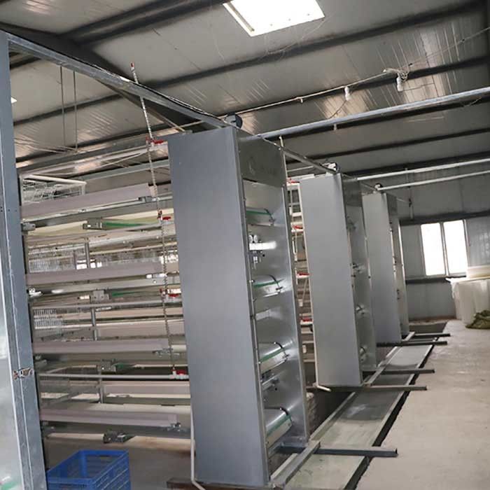 Cages de batterie galvanisées de Wrie pour les pondeuses, économie de travail de cage de poulet d'oeufs