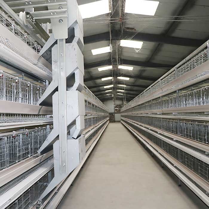 Oiseaux de la cage de poulet de volaille de rendement élevé 90 - 160/cadre rigide d'ensemble