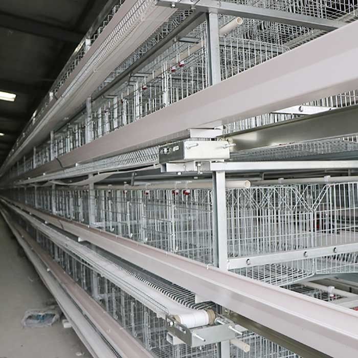 Cages de batterie galvanisées de Wrie pour les pondeuses, économie de travail de cage de poulet d'oeufs