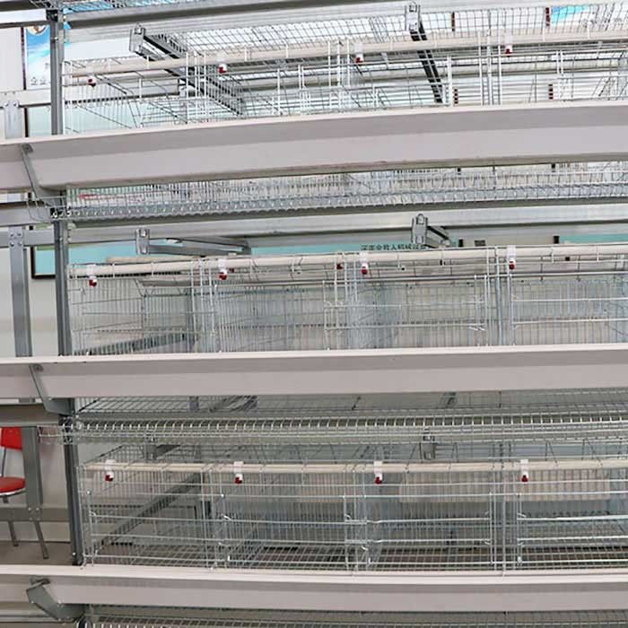 Cage de batterie élevant la cage de poulet de volaille grande capacité pour augmenter de poule