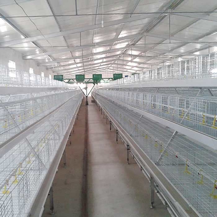4 fil étiré à froid de la cage Q235 de poulet à rôtir de portes des rangées 8 soudant la grande élasticité